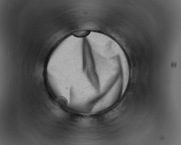 X0000100840201200807180928