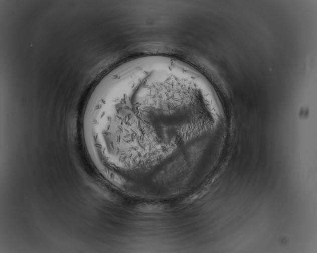 X0000100840202200807180928