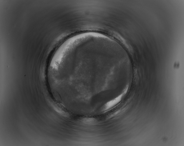 X0000100840203200807180928