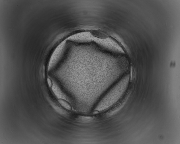 X0000100840205200807180928