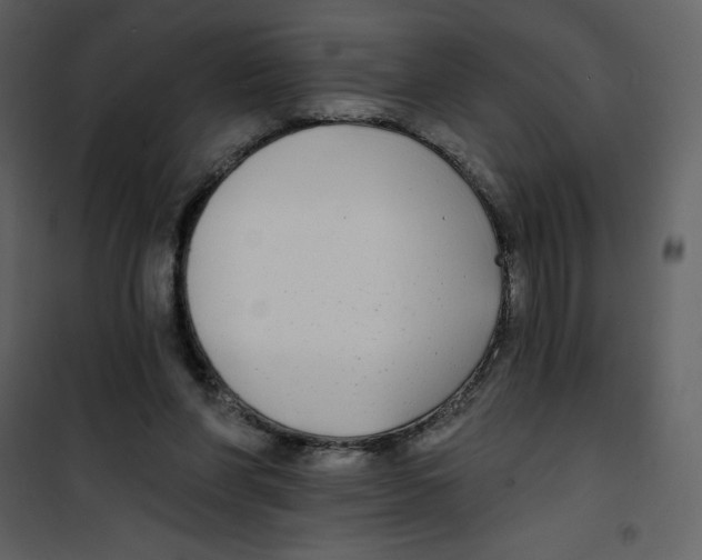 X0000100840206200807180928