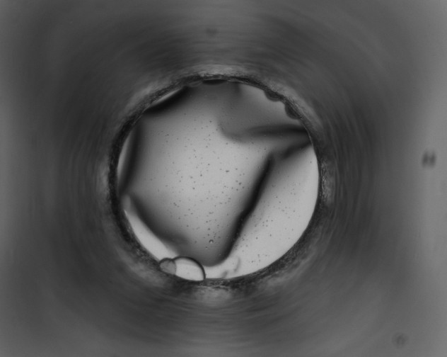 X0000100840207200807180928