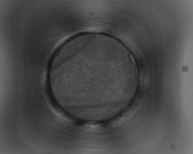 X0000100840208200807180928