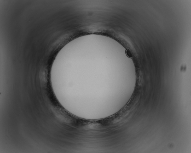 X0000100840210200807180928