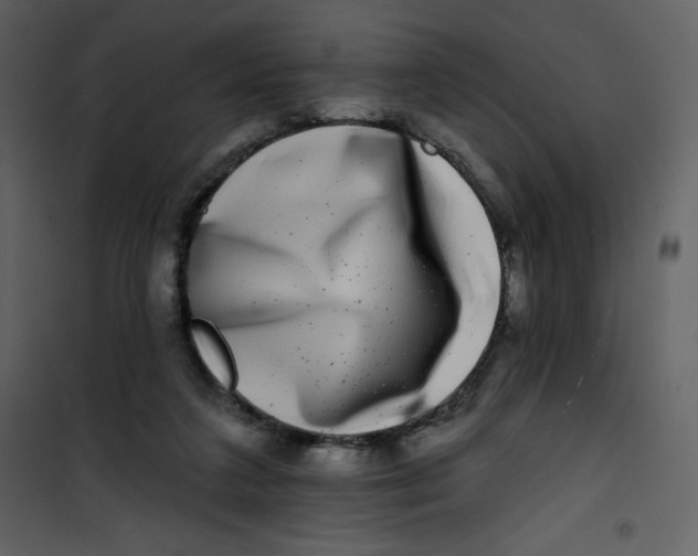 X0000100840211200807180928