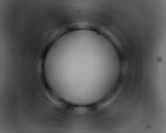 X0000100840213200807180928