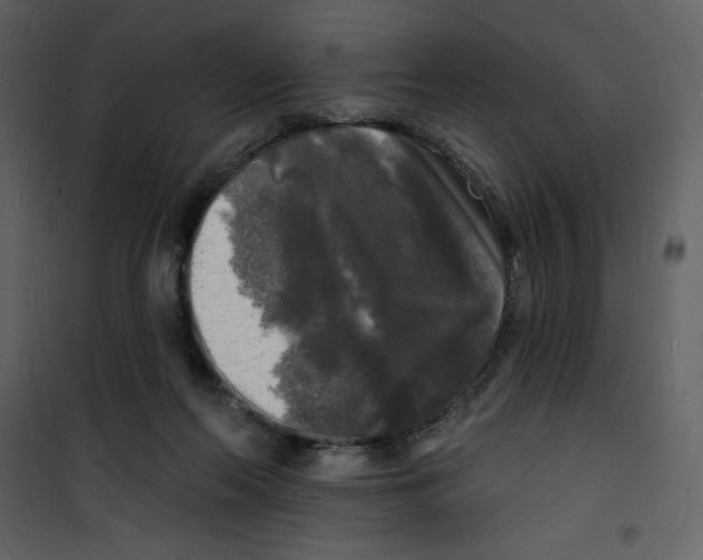 X0000100840214200807180928