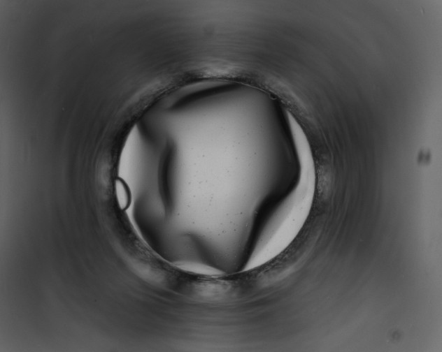 X0000100840215200807180928