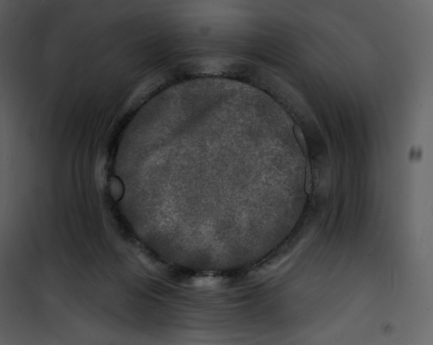 X0000100840216200807180928