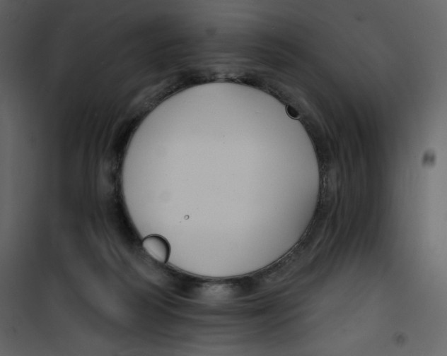 X0000100840218200807180928