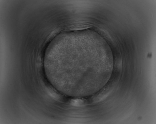 X0000100840220200807180928