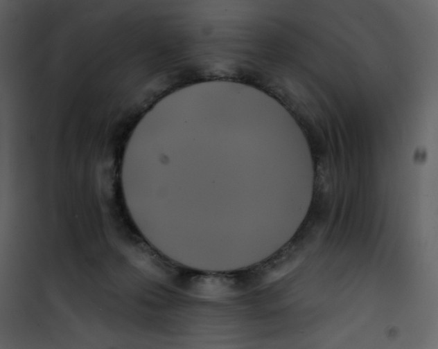 X0000100840223200807180928