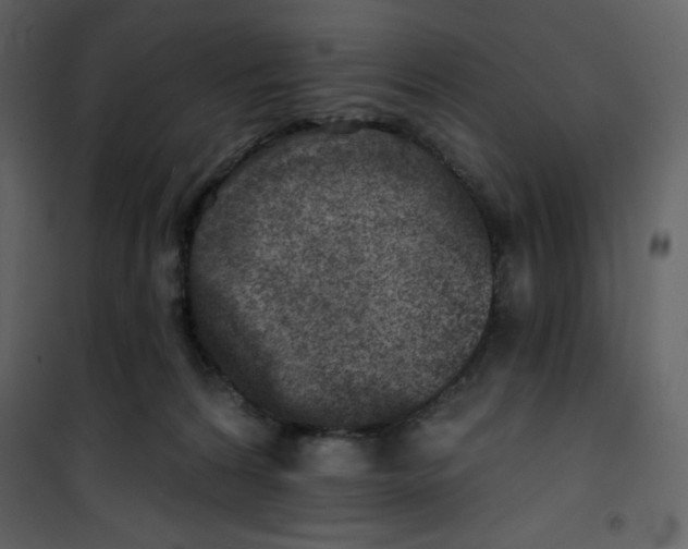 X0000100840224200807180928