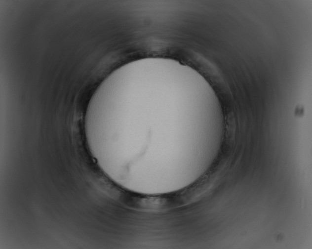 X0000100840225200807180928