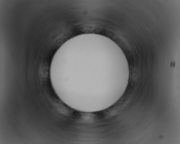 X0000100840226200807180928