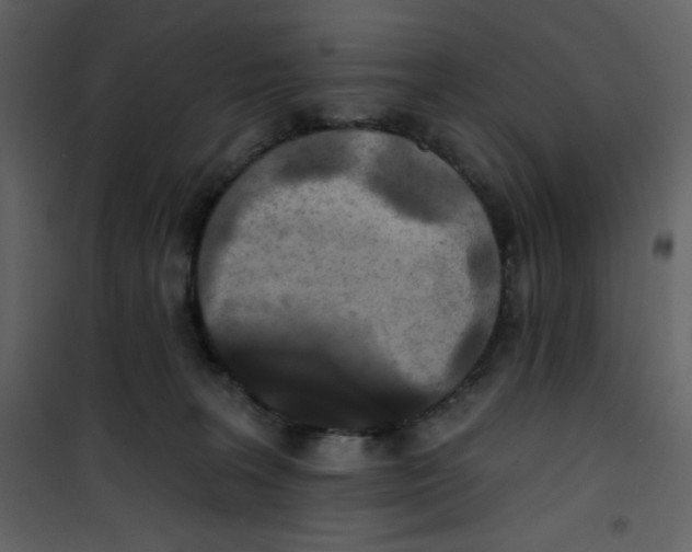 X0000100840227200807180928