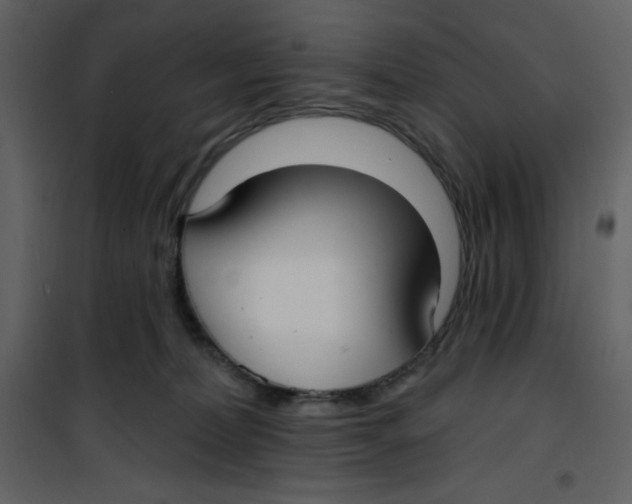 X0000100840228200807180928