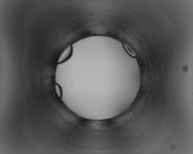 X0000100840229200807180928