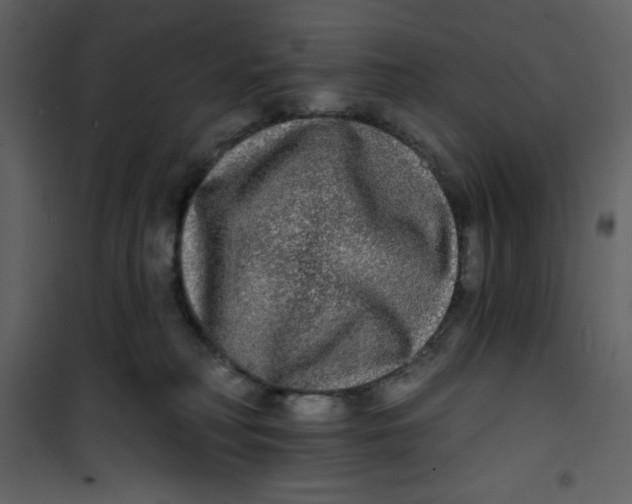 X0000100840230200807180928