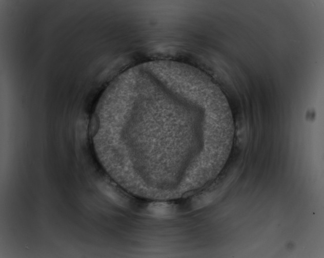 X0000100840231200807180928