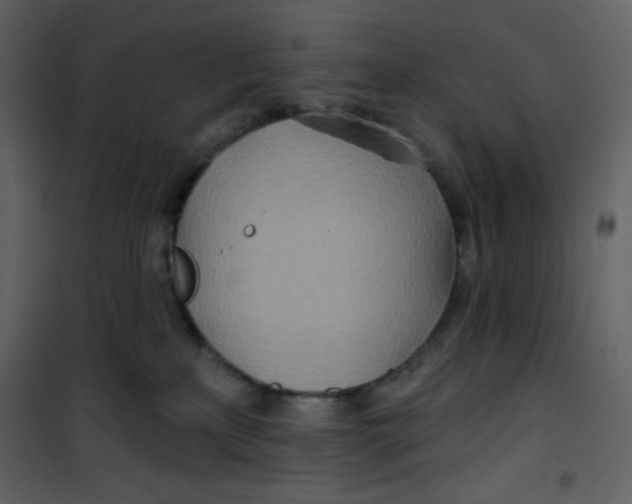 X0000100840233200807180928