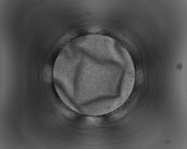 X0000100840234200807180928