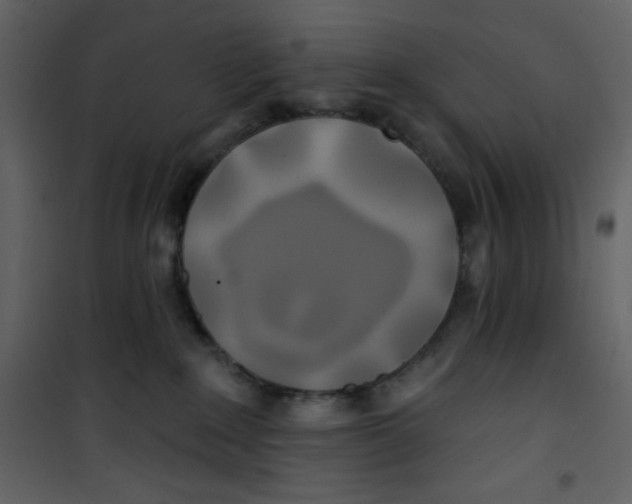 X0000100840235200807180928