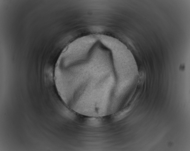 X0000100840238200807180928