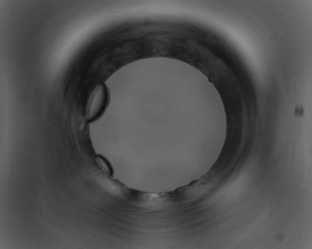 X0000100840239200807180928