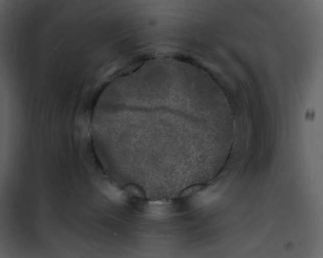 X0000100840240200807180927