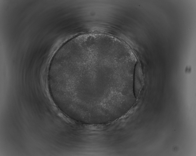 X0000100840241200807180927