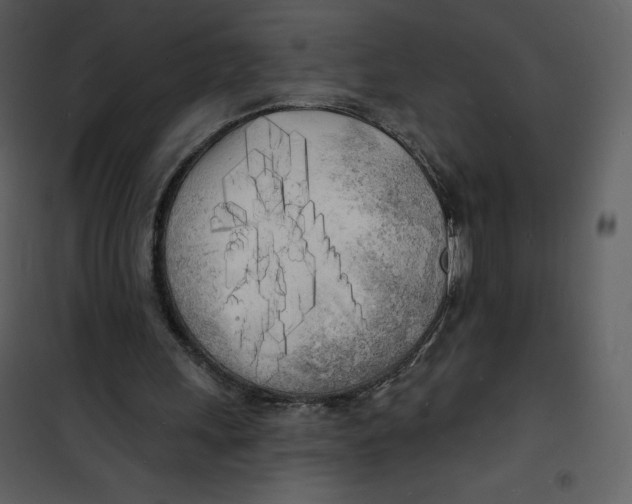 X0000100840243200807180927