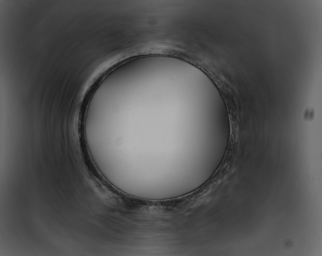 X0000100840244200807180927