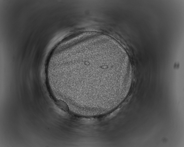 X0000100840245200807180927