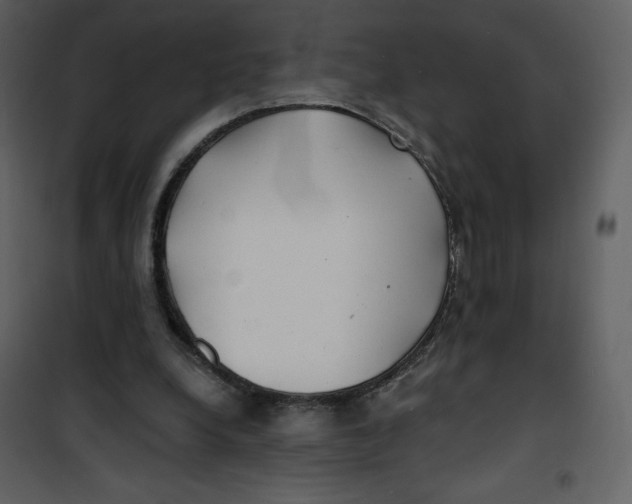 X0000100840248200807180927