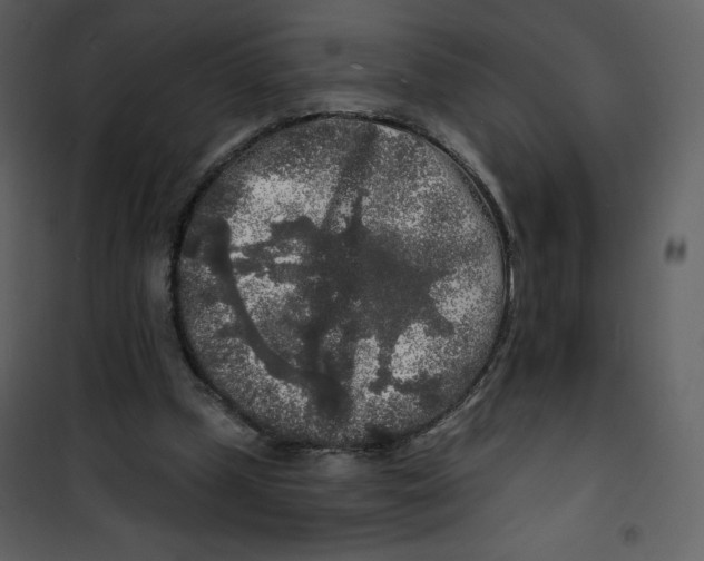 X0000100840249200807180927