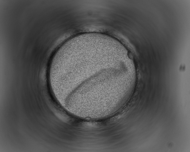 X0000100840250200807180927