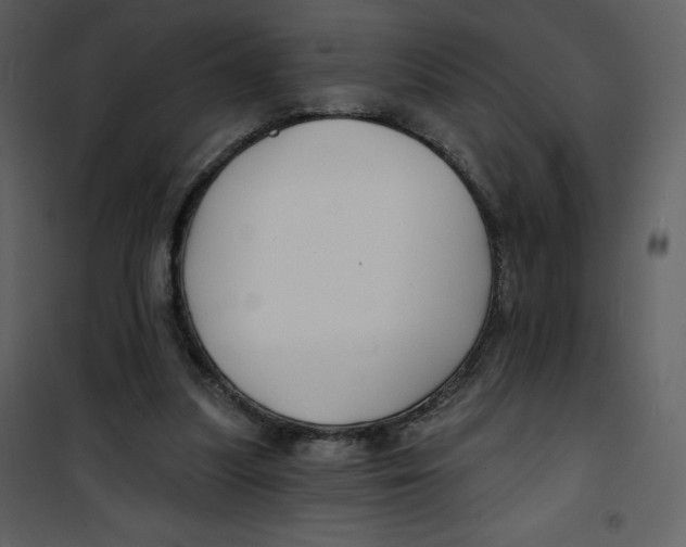 X0000100840251200807180927