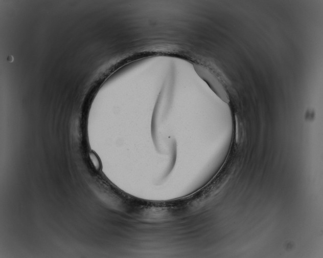 X0000100840252200807180927