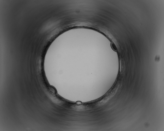 X0000100840253200807180927