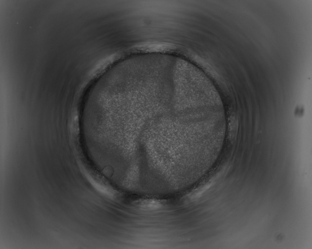 X0000100840254200807180927