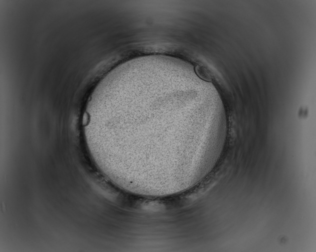 X0000100840258200807180927