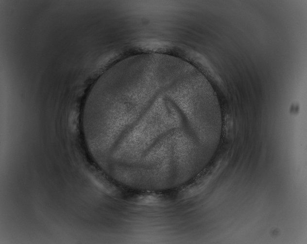 X0000100840259200807180927