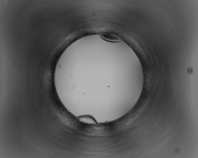 X0000100840260200807180927