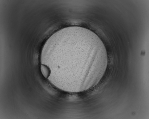 X0000100840262200807180927