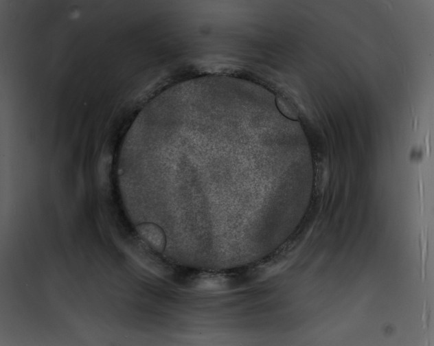 X0000100840263200807180927