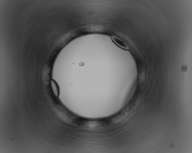 X0000100840264200807180927