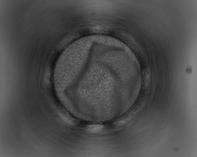 X0000100840266200807180927