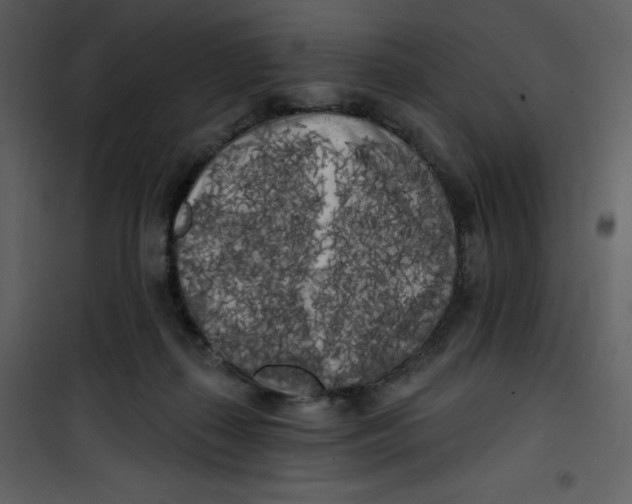 X0000100840267200807180927