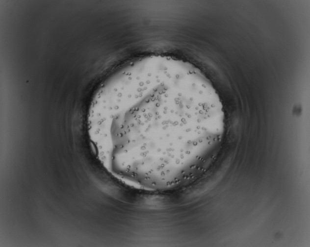 X0000100840268200807180927